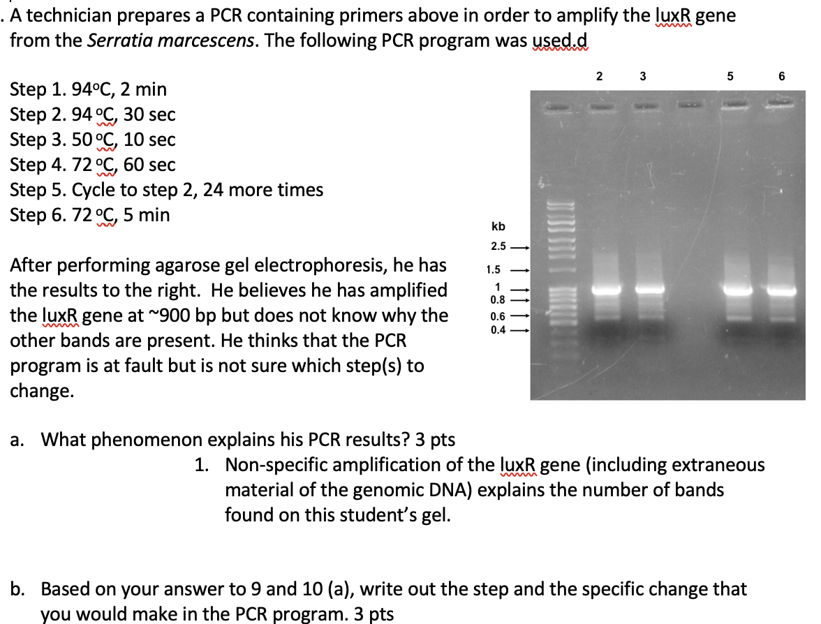 Solved A technician prepares a PCR containing primers above | Chegg.com