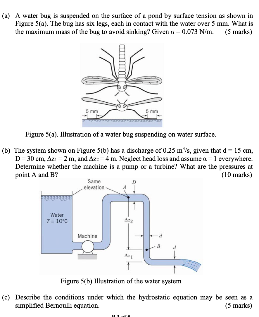 (a) A water bug is suspended on the surface of a pond by surface tension as shown in
Figure 5(a). The bug has six legs, each 