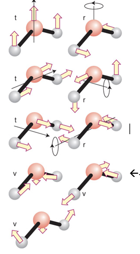 Solved 1. What is the symmetry of the indicated bond | Chegg.com