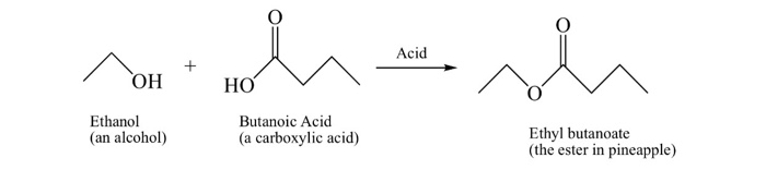 solved-acid-oh-ho-ethanol-an-alcohol-butanoic-acid-a-chegg