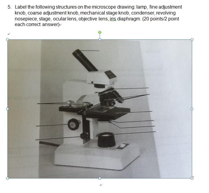 condenser adjustment knob microscope