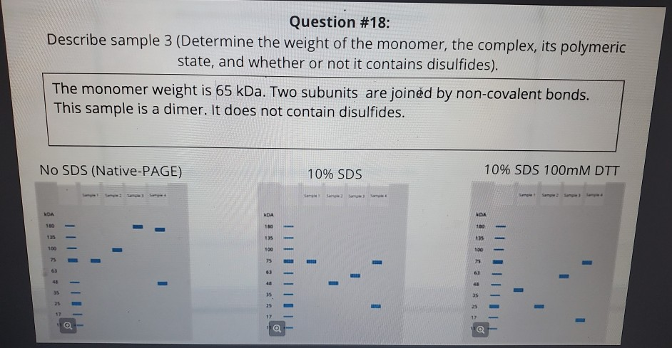 solved-question-18-describe-sample-3-determine-the-weight-chegg