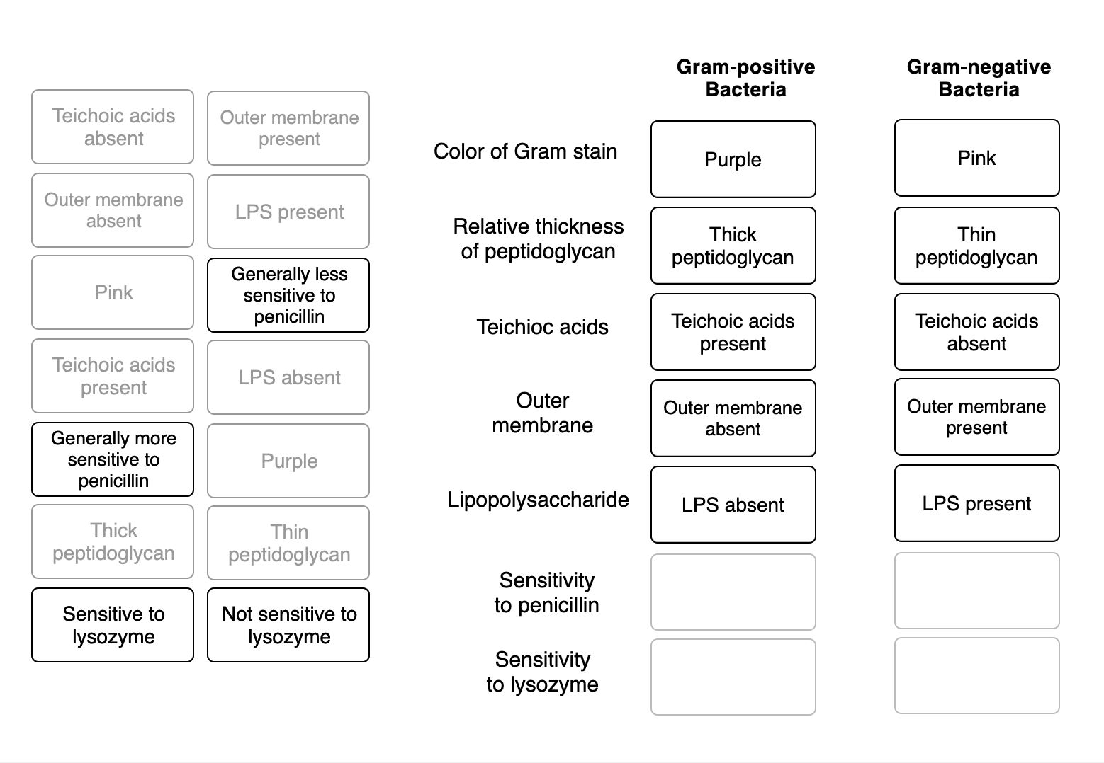Solved Based on the classifications shown, match the items