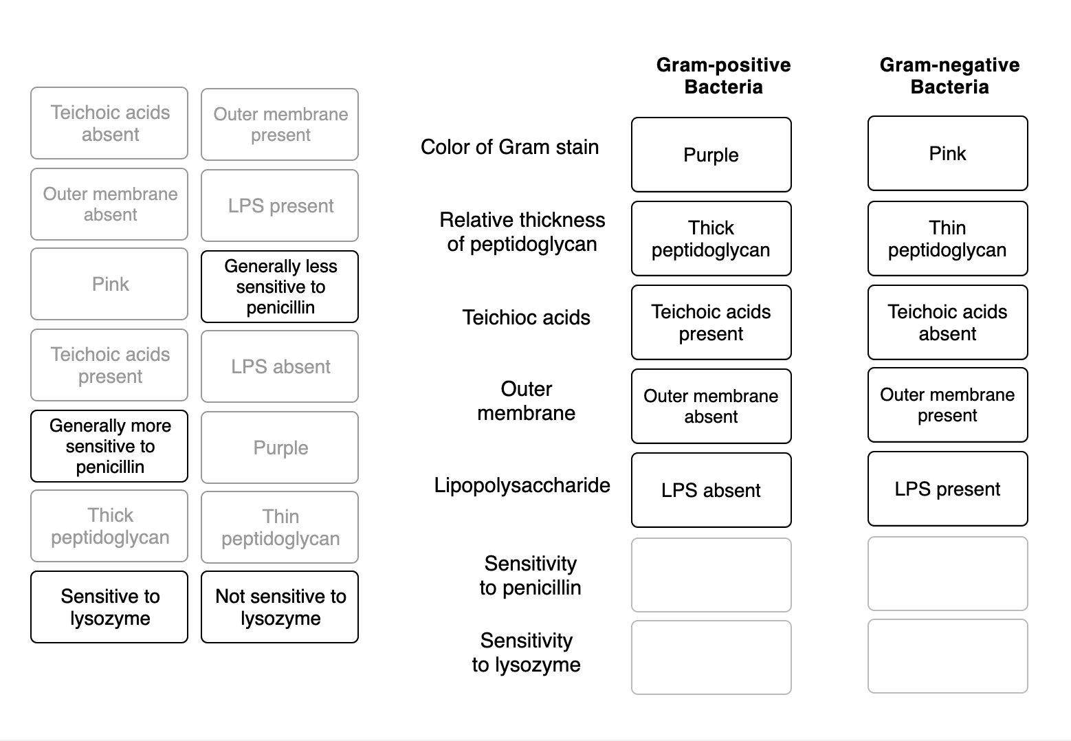 solved-based-on-the-classifications-shown-match-the-items-chegg