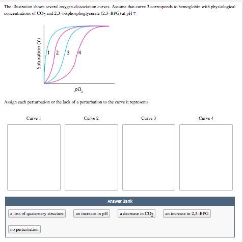 Solved The illustration shows several oxygen dissociation | Chegg.com