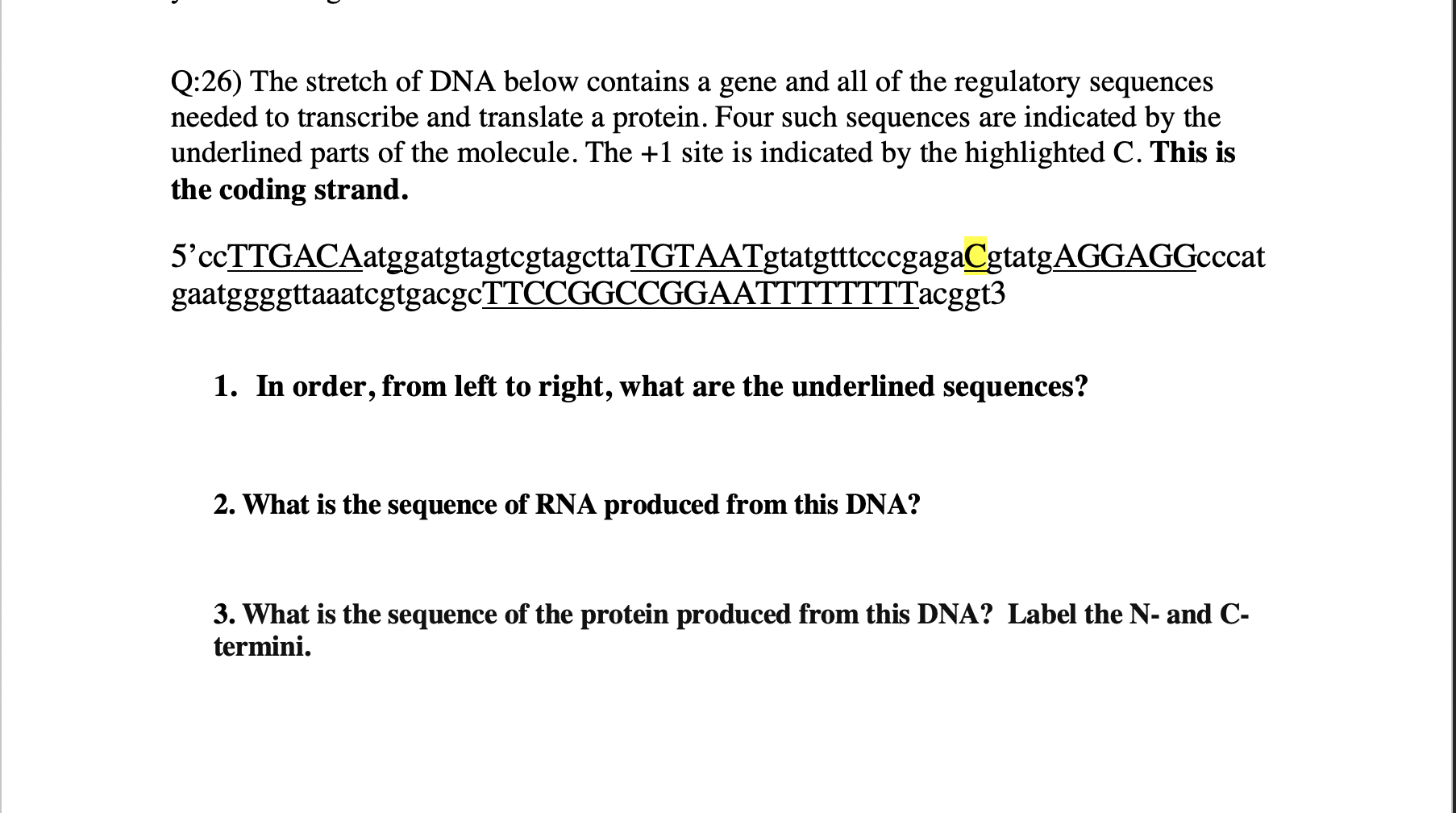 Solved Q:26) The stretch of DNA below contains a gene and | Chegg.com