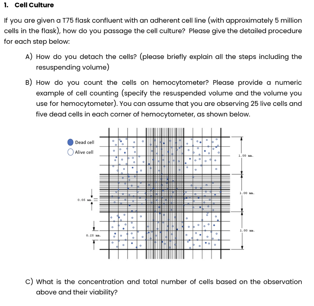 Solved If you are given a T75 flask confluent with an