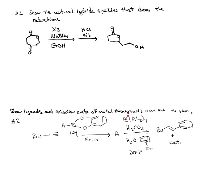 Solved #1 show the actual hydride species that does the | Chegg.com