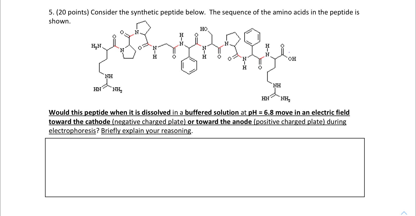 Solved 5. (20 Points) Consider The Synthetic Peptide Below. | Chegg.com