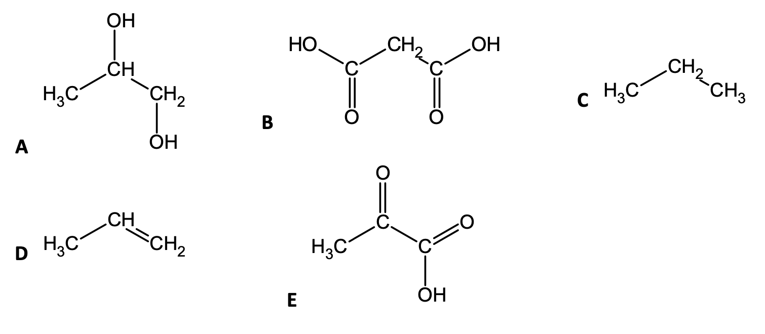 Solved B C D | Chegg.com