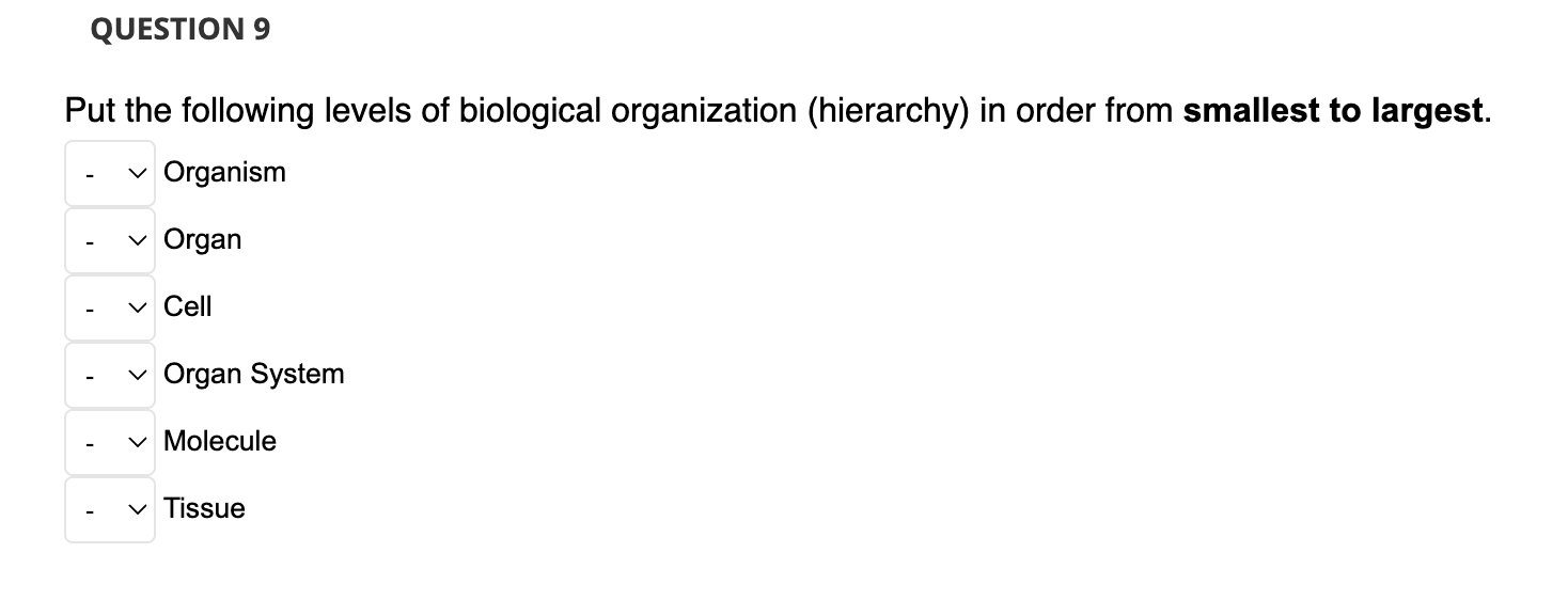 Solved Put the following levels of biological organization | Chegg.com