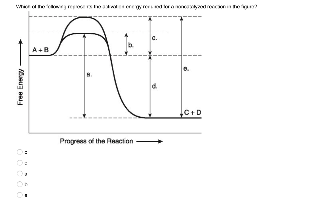 Solved Which of the following represents the activation | Chegg.com