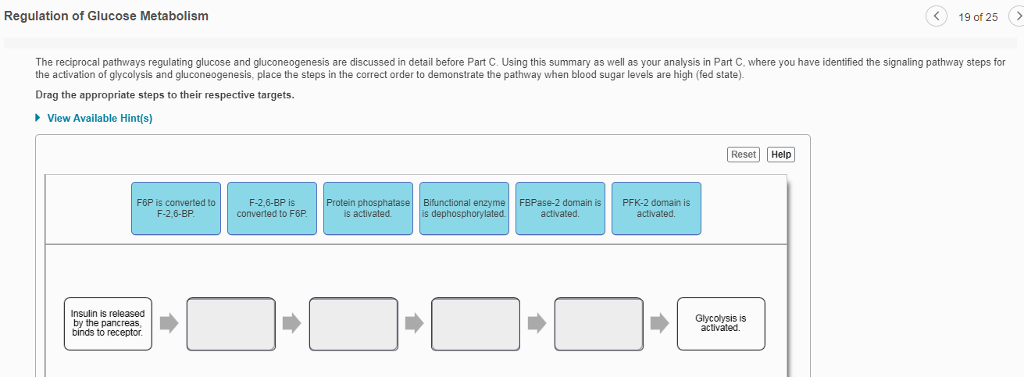 Solved Regulation of Glucose Metabolism 19 of 25> The | Chegg.com