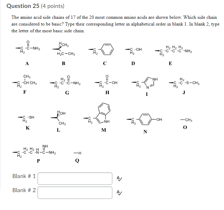 Solved Question 25 (4 points) The amino acid side chains of | Chegg.com
