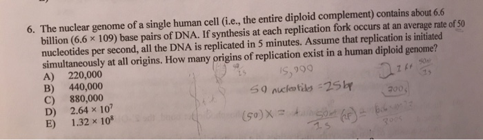 Solved 6. The nuclear genome of a single human cell (i.e., | Chegg.com