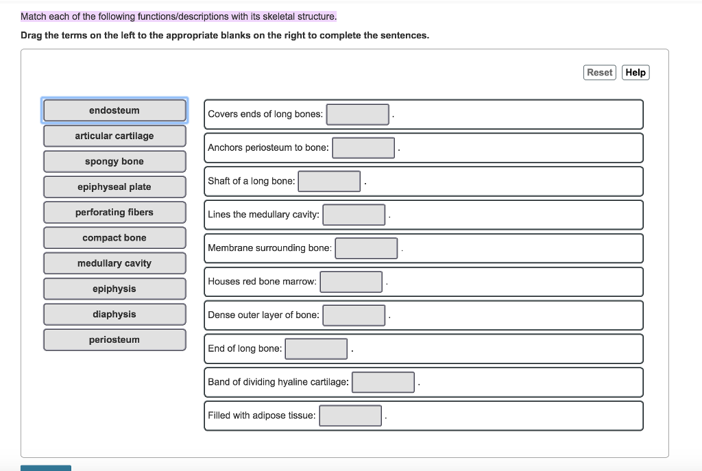 Solved Match Each Of The Following Functions/descriptions | Chegg.com