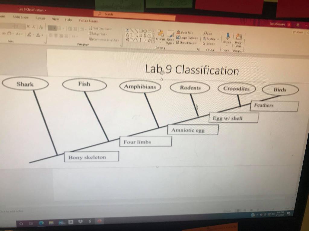 Solved Lab Clasification om Slide Show Heview View Help | Chegg.com