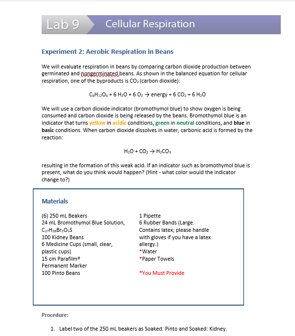 aerobic cellular respiration experiment