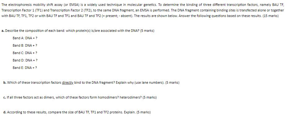 Solved The electrophoresis mobility shift assay (or EMSA) is | Chegg.com