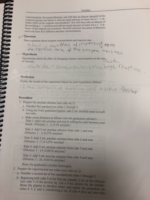 Solved Biology 1113 Lab 4 Enzymes Reading Lab Manual Pp...