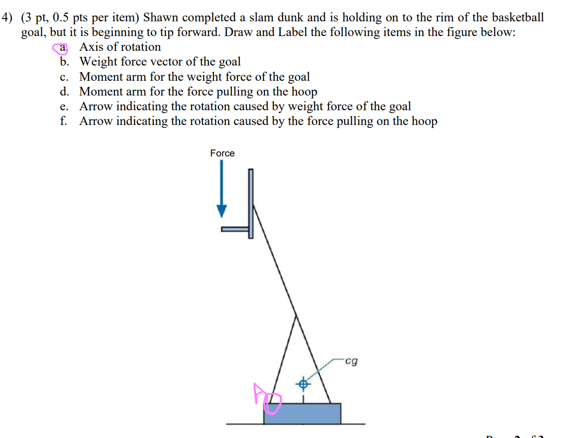 ( 3pt,0.5pts per item) Shawn completed a slam dunk | Chegg.com