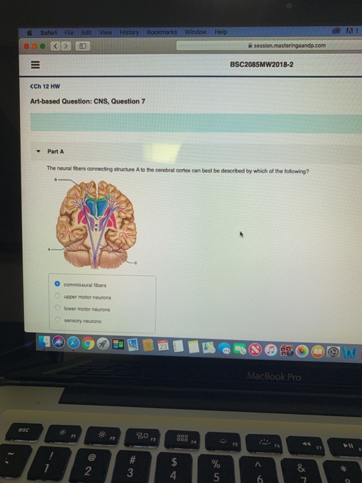 Solved 9 41 1 슐 sessi BSC2085MW20182 (Ch 12 HW Artbased