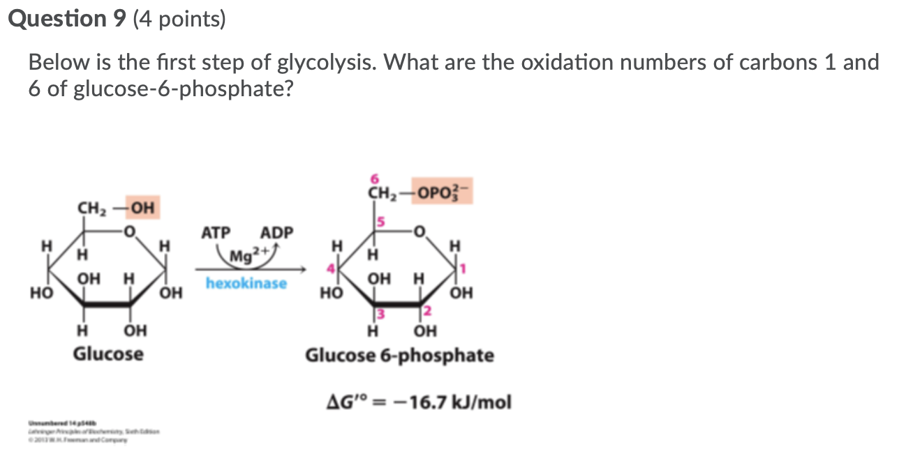 Solved Question 9 (4 points) Below is the first step of | Chegg.com