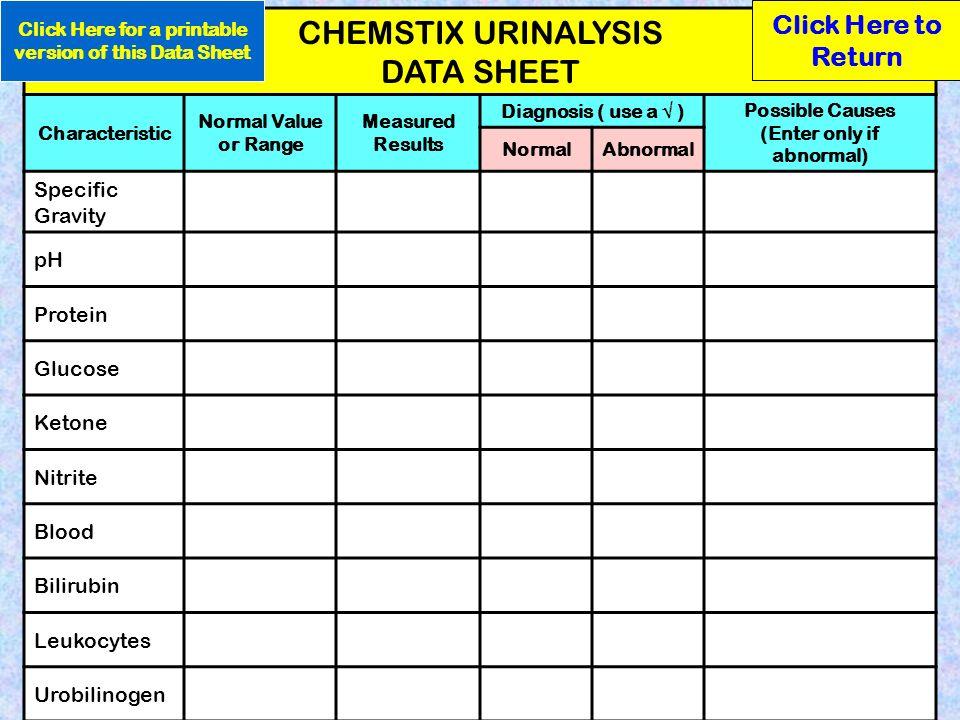 Printable Blank Urinalysis Forms