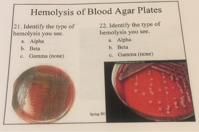 Materials Free Full Text Hemolysis Inspired Highly Sensitive