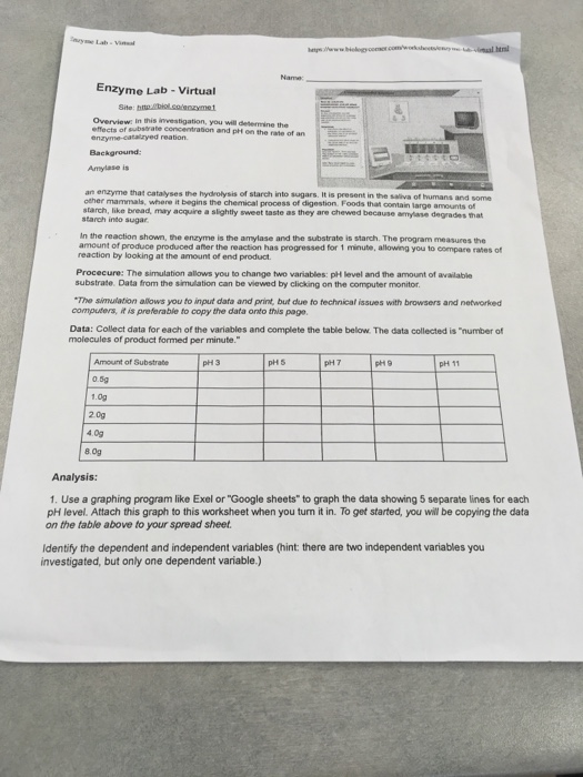 Solved Name Enzyme Lab Virtual Overview in this