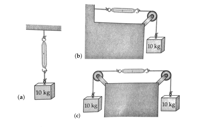 Solved A Spring Scale Typically Indicates The Magnitude Of 