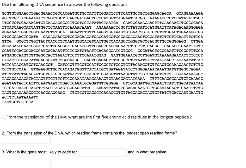 Solved Use The Following DNA Sequence To Answer The | Chegg.com | Chegg.com