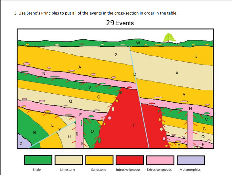 Solved 3. Use Steno's Principles to put all of the events in