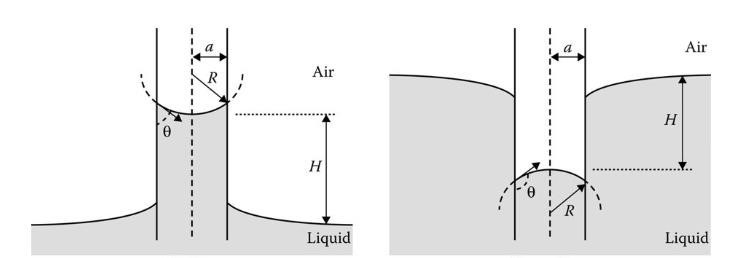 Solved Consider a capillary tube with one end dipped in a | Chegg.com