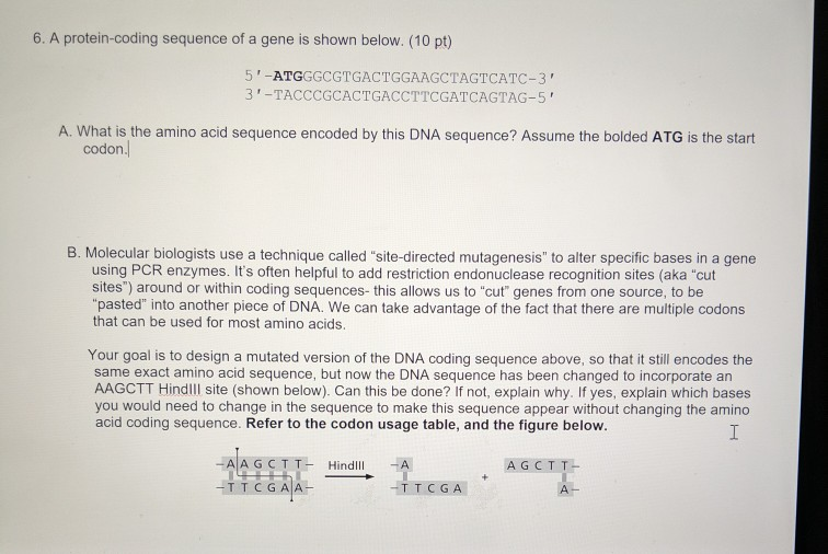 Solved 6. A Protein-coding Sequence Of A Gene Is Shown | Chegg.com