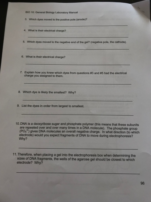 Solved BIO 10 General Biology Laboratory Manual 3. Which