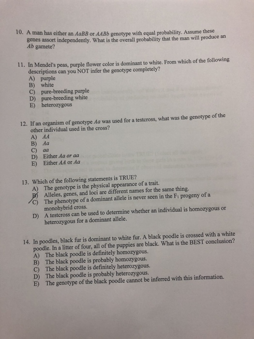 Solved: 10. A Man Has Either An AaBB Or AABb Genotype With... | Chegg.com
