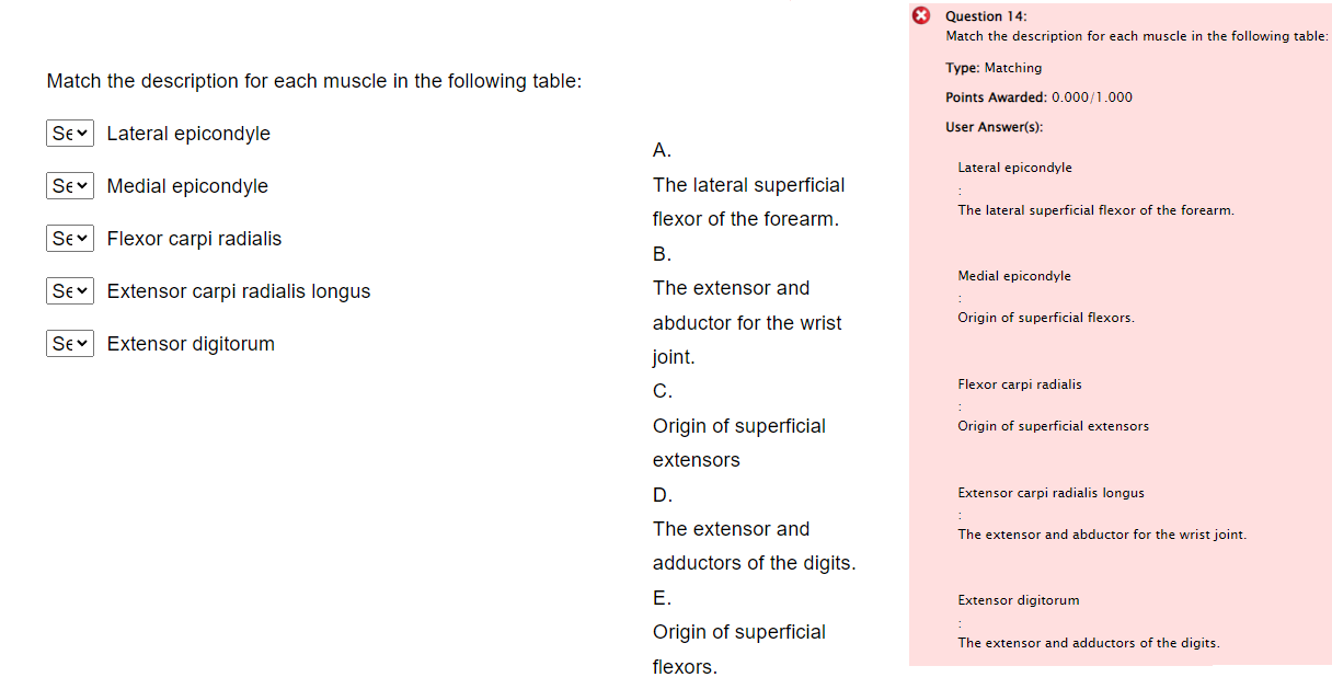 Solved # Question 14: Match the description for each muscle | Chegg.com