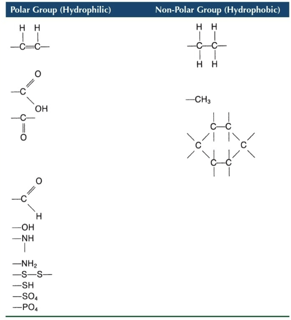 Solved Polar Group (Hydrophilic) Non-Polar Group | Chegg.com