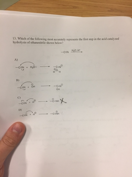 Solved Which of the following most accurately represents the | Chegg.com