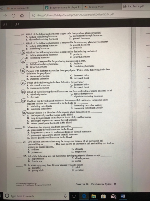 Endocrine system visual data 3