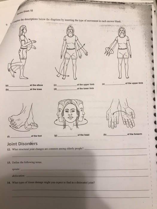 Complete The Descriptions Below The Diagrams