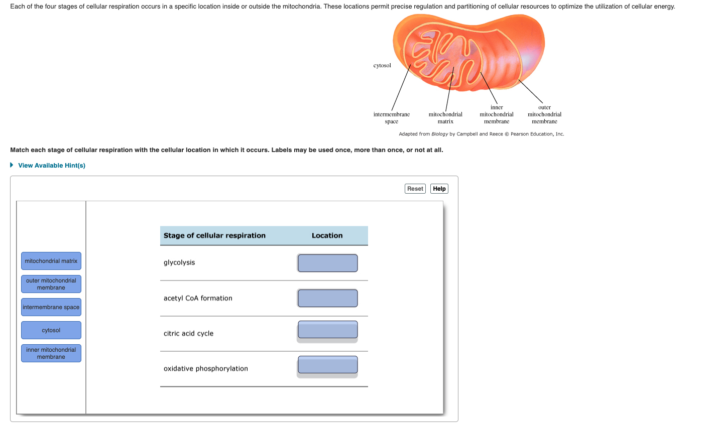 Solved From The Following Compounds Involved In Cellular Chegg