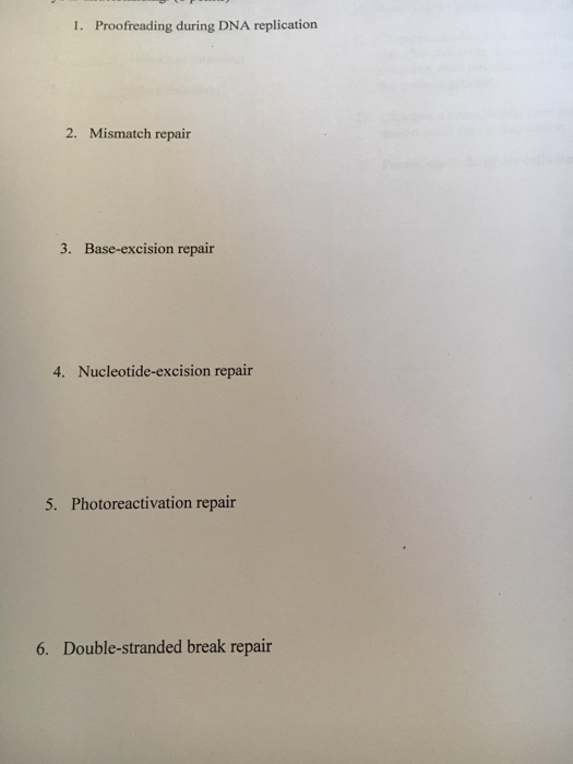 Solved 1. Proofreading during DNA replication 2. Mismatch | Chegg.com