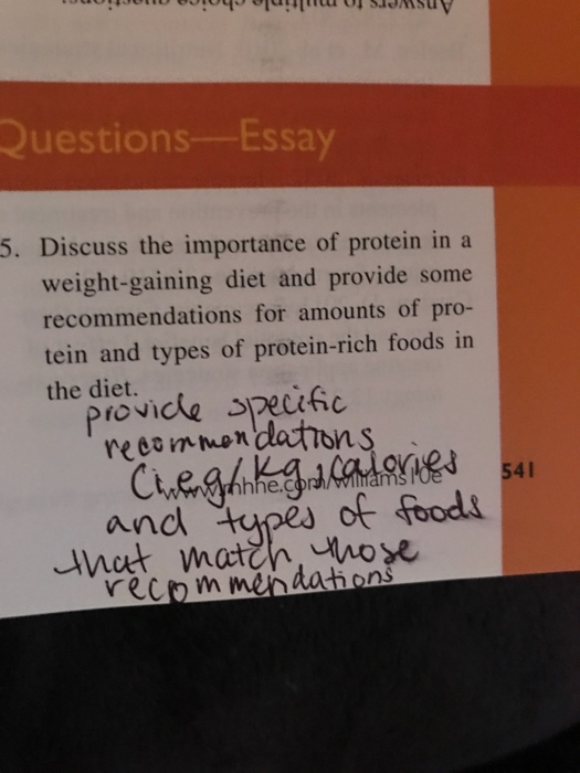 essay on protein nutrition