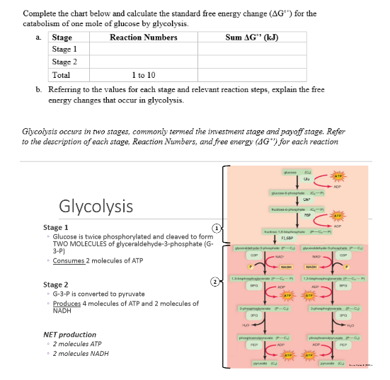 Solved Complete the chart below and calculate the standard | Chegg.com