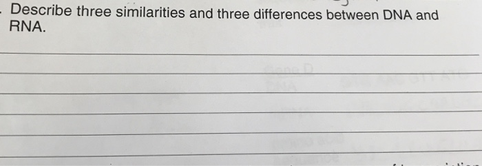 Solved Describe three similarities and three differences | Chegg.com