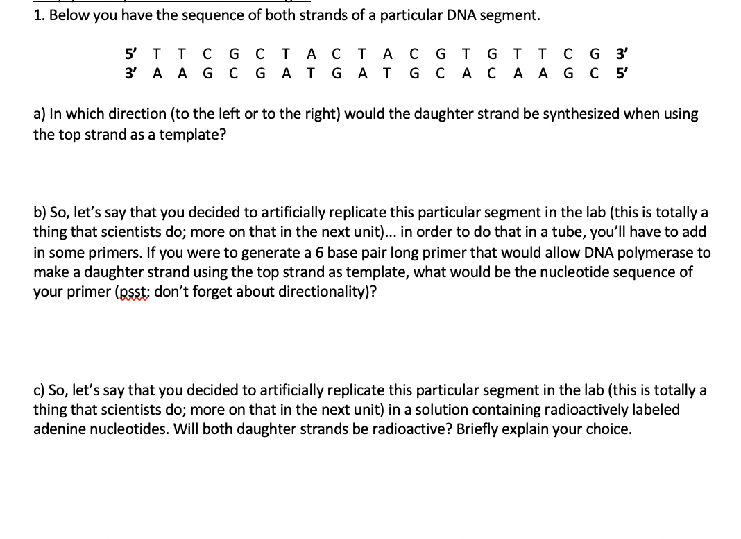 Solved 1. Below you have the sequence of both strands of a | Chegg.com