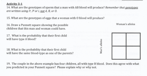 How To Draw A Punnett Square With Multiple Alleles