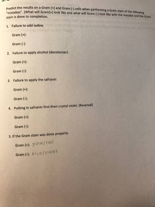 Solved predict the results on a Gram (+) and Gram (-) cells | Chegg.com